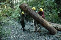 Upper Skagit Colony Creek - 3 Guys and a log