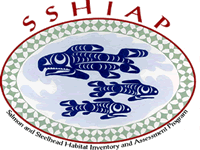 SSHIAP Logo